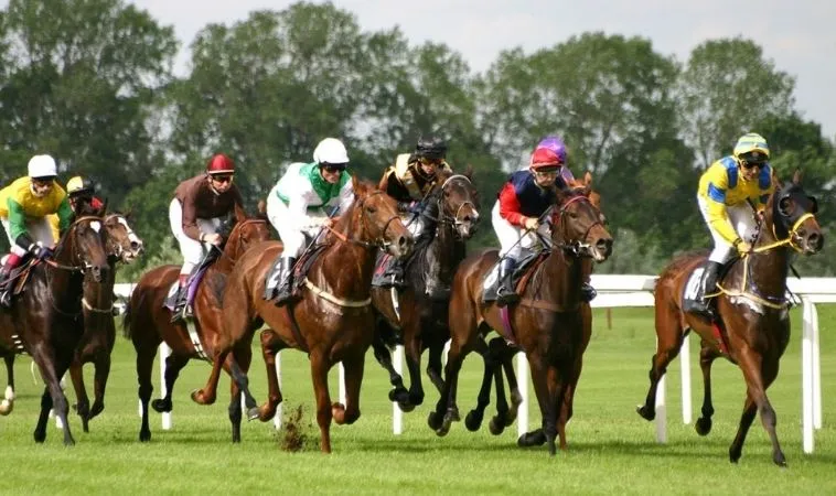 Đua Ngựa OPPA888: Khám Phá Thế Giới Cá Cược Đỉnh Cao Tại Nhà Cái Uy Tín 4 Đua Ngựa OPPA888