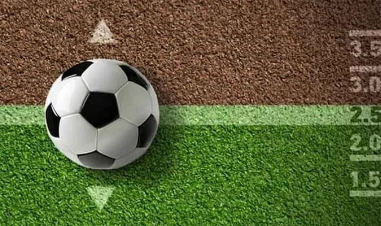 Tìm Hiểu Bóng Đá OPPA888: Đỉnh Cao Cá Cược Thể Thao 2 Đa dạng các tỷ lệ cược bóng đá tại nhà cái OPPA888