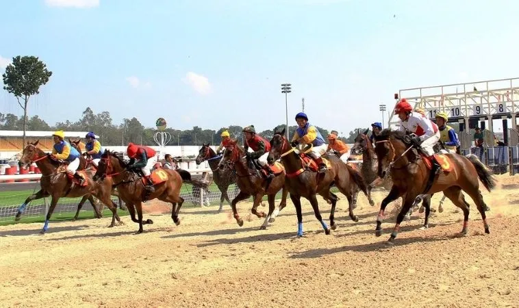 Đua Ngựa OPPA888: Khám Phá Thế Giới Cá Cược Đỉnh Cao Tại Nhà Cái Uy Tín 2 Tham gia cá cược đua ngựa hấp dẫn tại nhà cái OPPA888